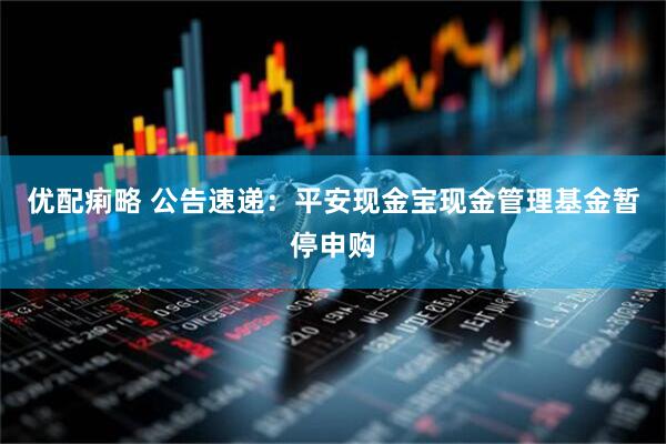 优配痢略 公告速递：平安现金宝现金管理基金暂停申购
