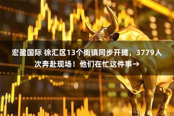 宏盈国际 徐汇区13个街镇同步开摊，3779人次奔赴现场！他们在忙这件事→