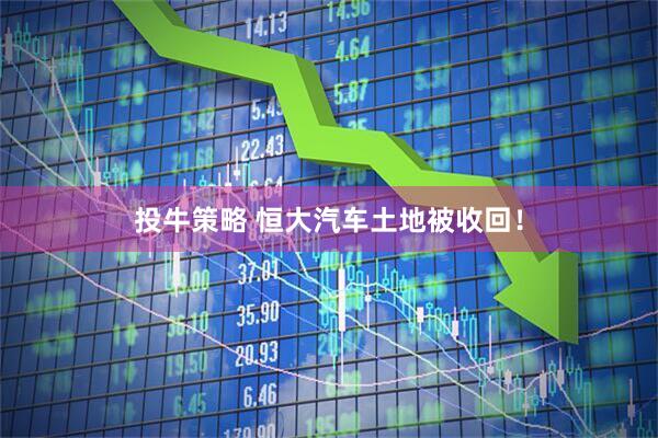 投牛策略 恒大汽车土地被收回！