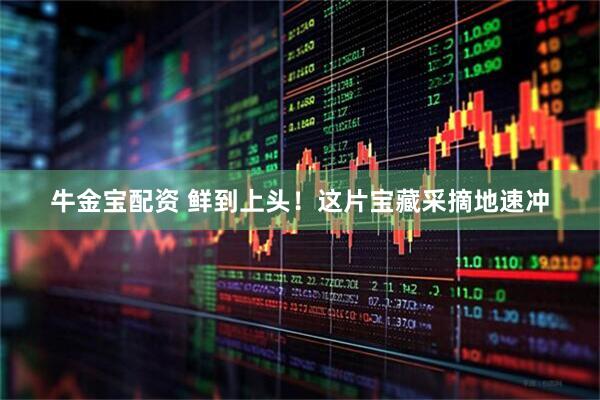 牛金宝配资 鲜到上头！这片宝藏采摘地速冲