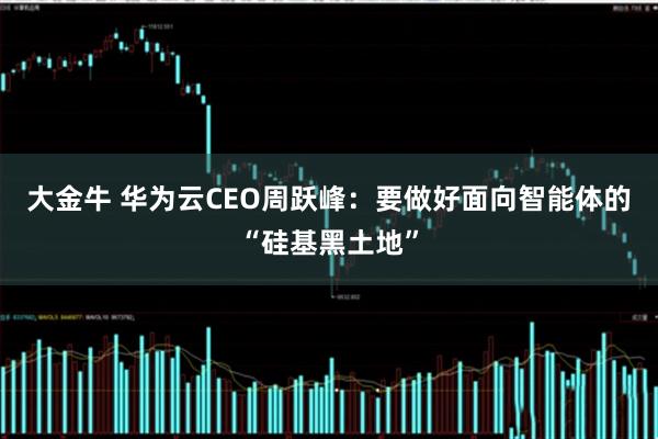 大金牛 华为云CEO周跃峰：要做好面向智能体的“硅基黑土地”